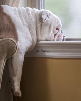 78093ab3f81bb141652e4593fe5f6d1a