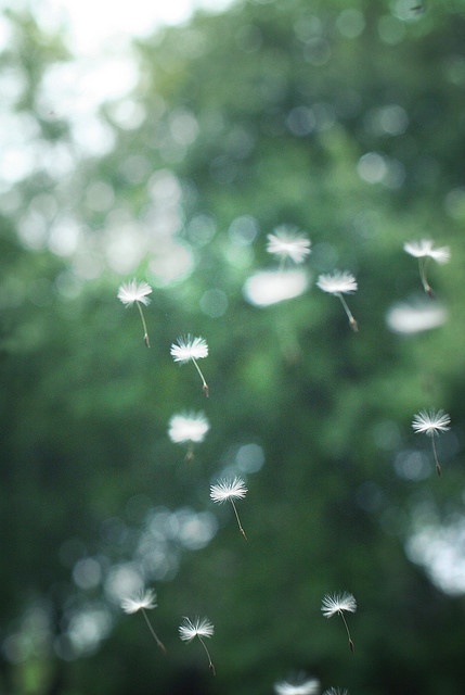 1784c5e5dfcbf97006451fba905a7642