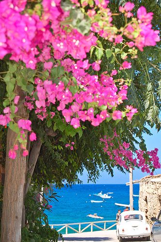 424219fe0378864099f400bee8673022